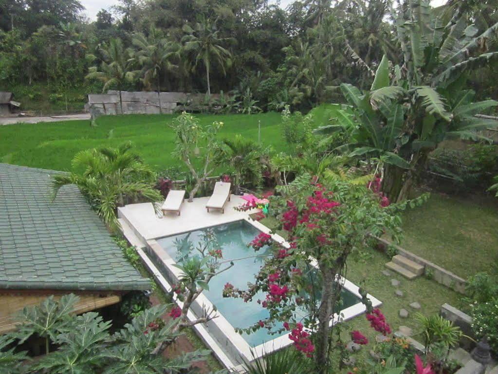 Villa Lumbung Ubud Esterno foto